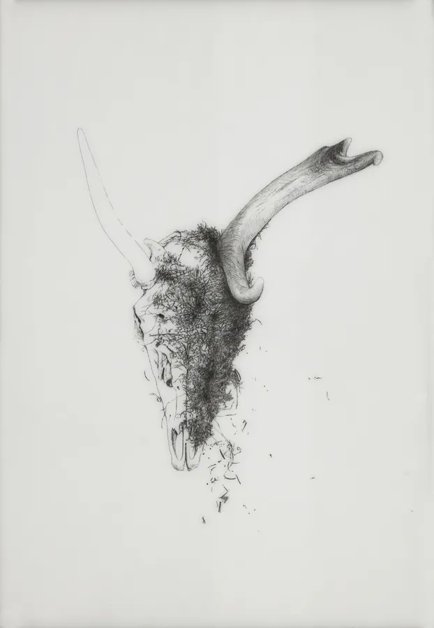 Miriam de Búrca, Facing North, 2013