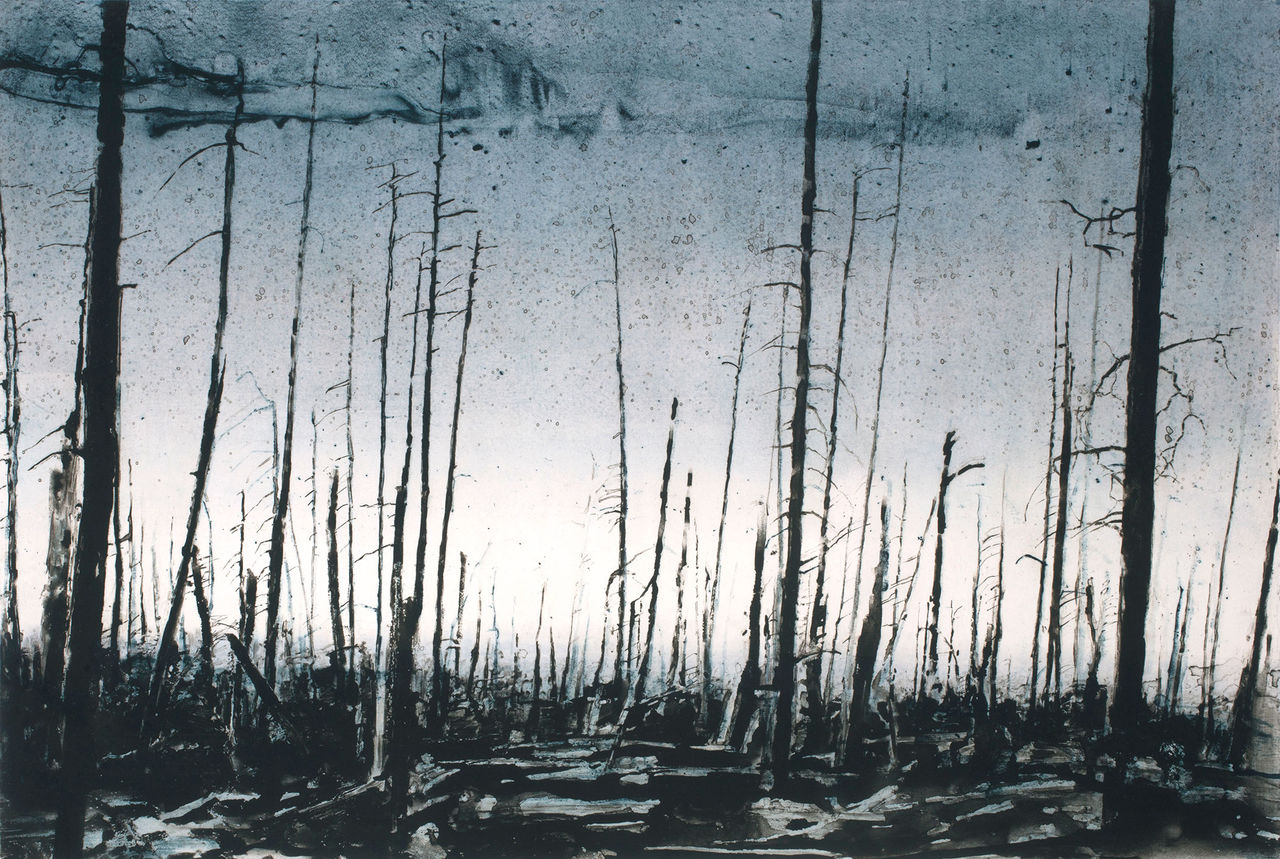 Emma Stibbon, Forest Fire, 2017