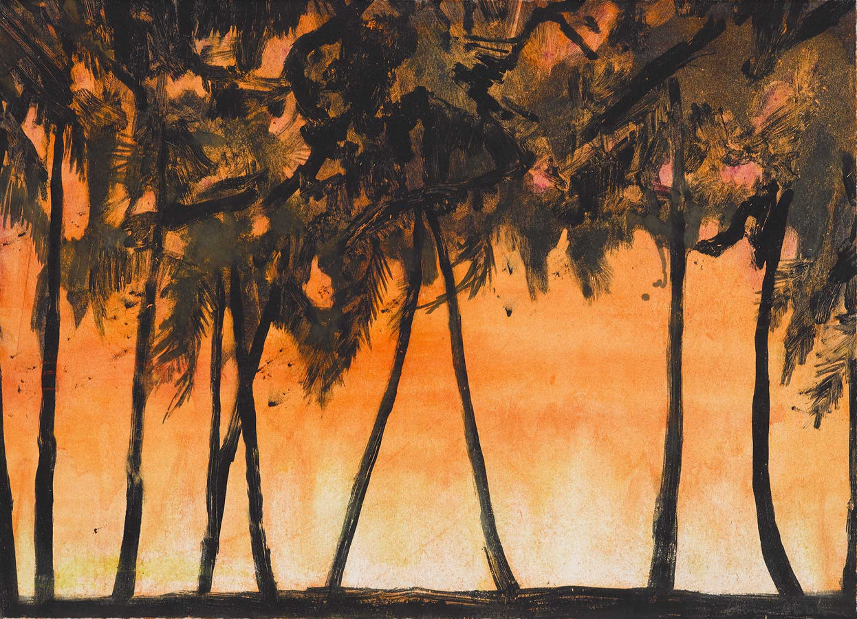 Emma Stibbon, Fire Trail, 2019