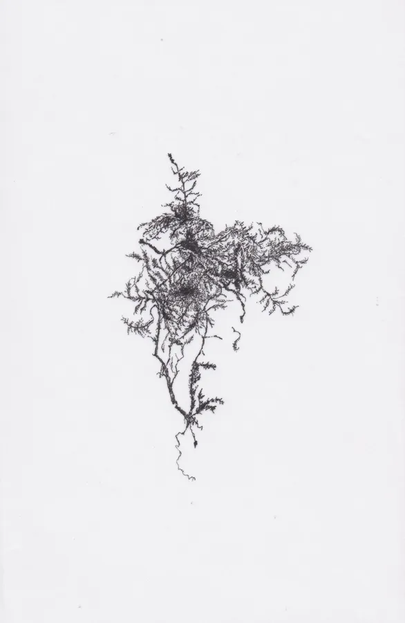 Miriam De Burca, 7. 54°12'20.3''N 7°14'33.7''W (Clones), 2019