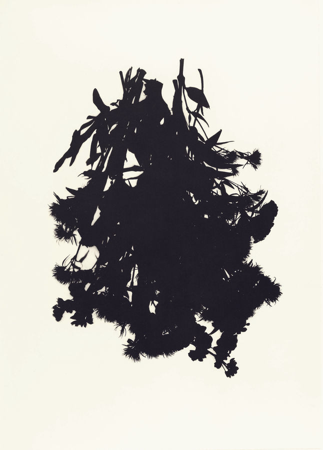 Cornelia Parker, Black Bouquet, 2020