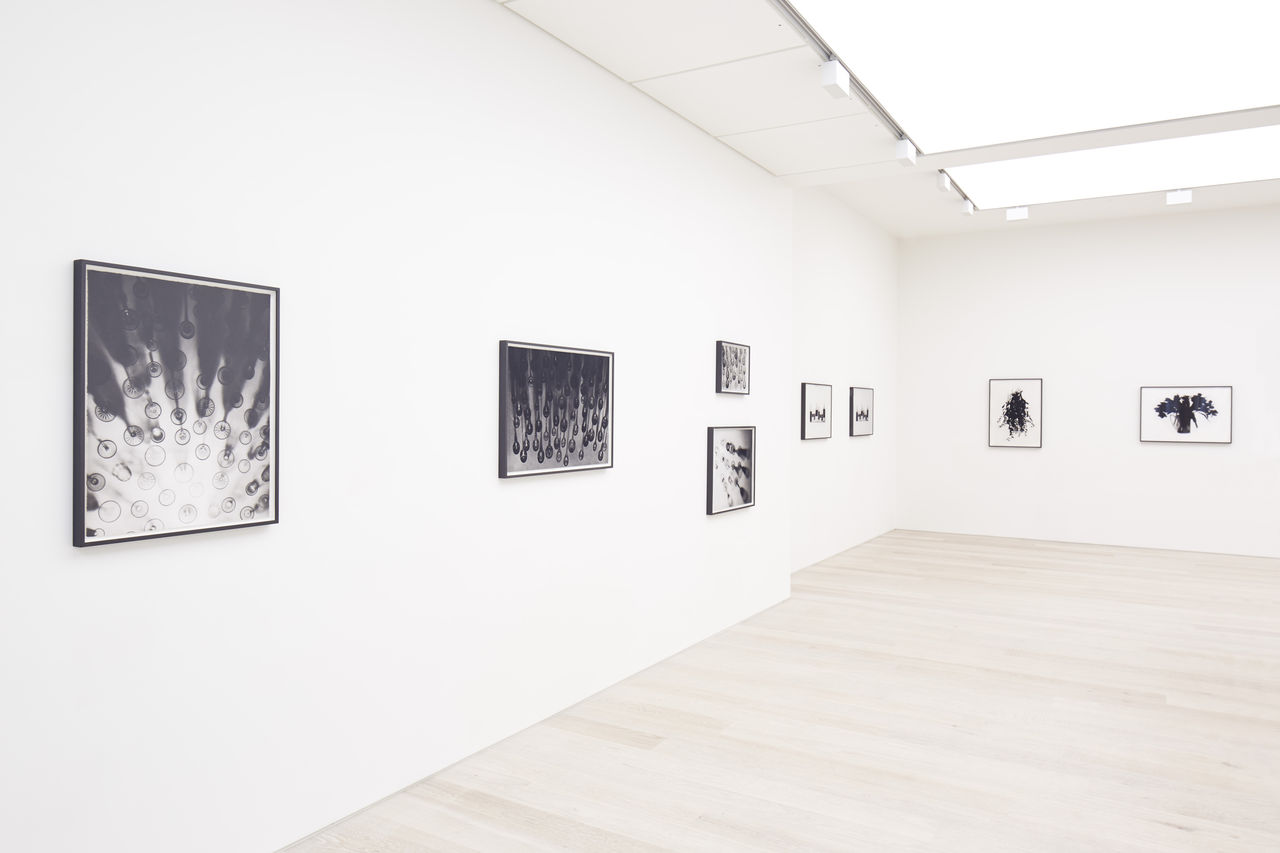 Installation view of Cornelia Parker: Through a Glass Darkly at Cristea Roberts Gallery, London, 2020. Photo: Maxwell Anderson.