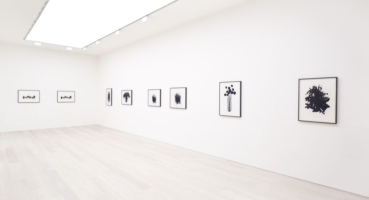 Installation view of Cornelia Parker: Through a Glass Darkly at Cristea Roberts Gallery, London, 2020. Photo: Maxwell Anderson.