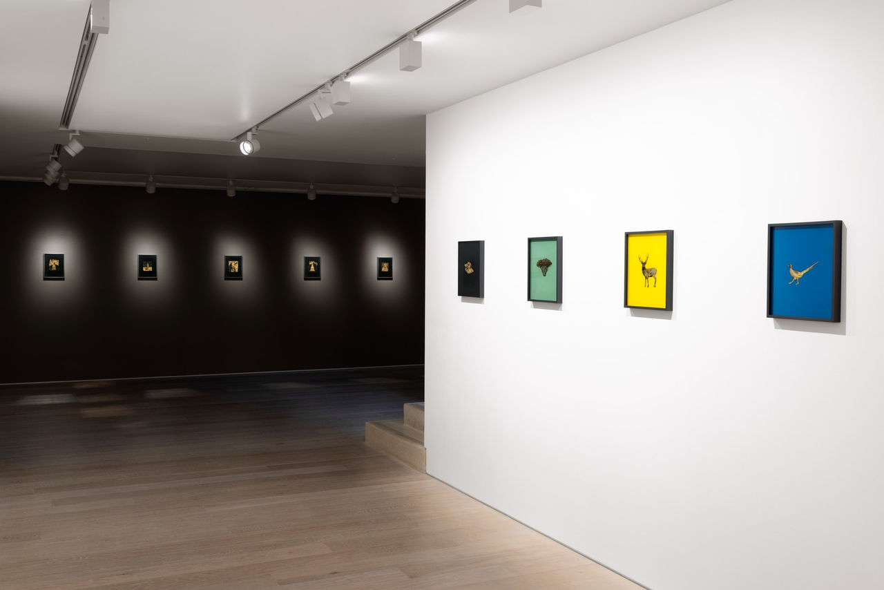 Miriam de Búrca: Noblesse Oblige installation, 2024. Courtesy Cristea Roberts Gallery, London. Photo Sam Roberts.