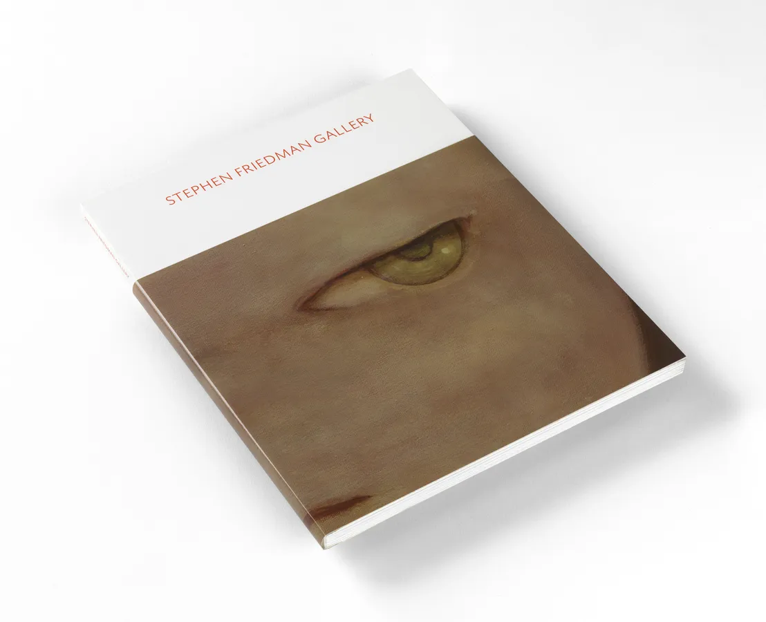 Stephen Friedman Gallery 20 Years