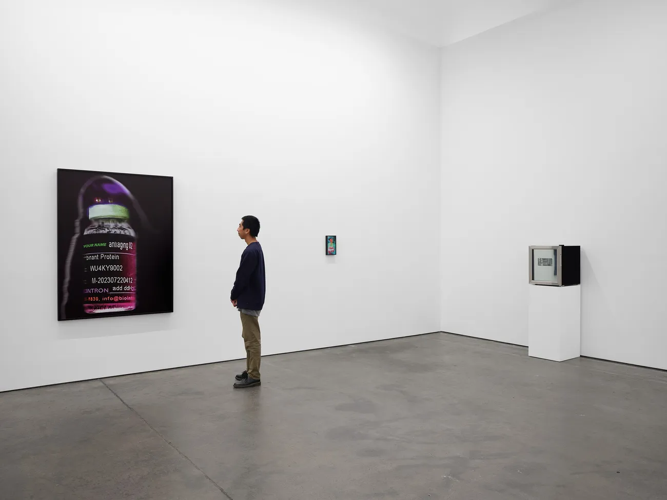 Lynn Hershman Leeson, A Compromised Future, 2025