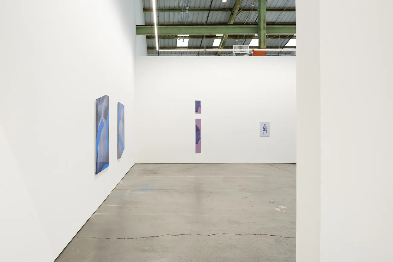 Sara VanDerBeek, Future Variations III, 2021