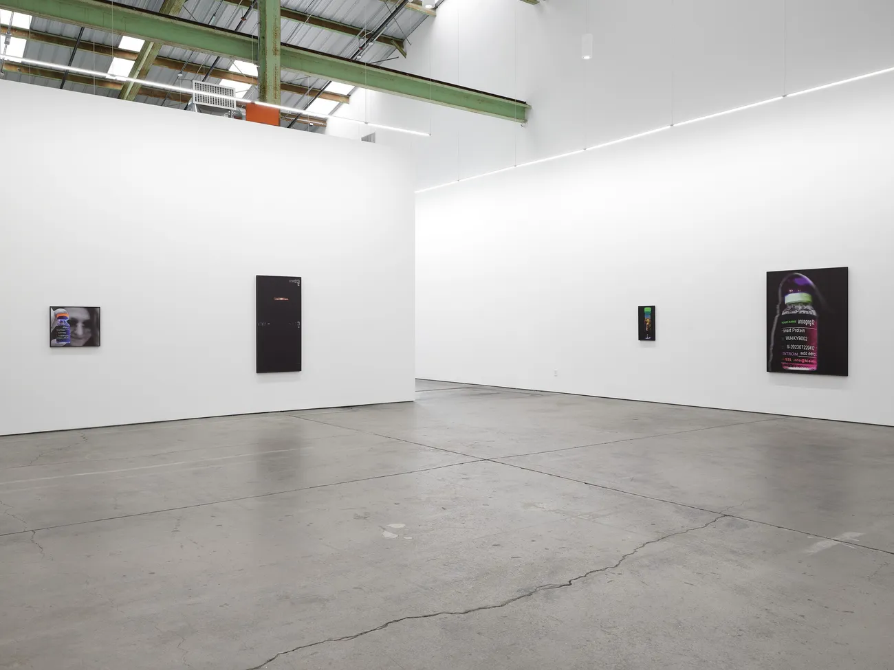 Lynn Hershman Leeson, A Compromised Future, 2025