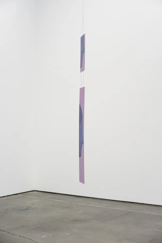 Sara VanDerBeek, Future Variations III, 2021