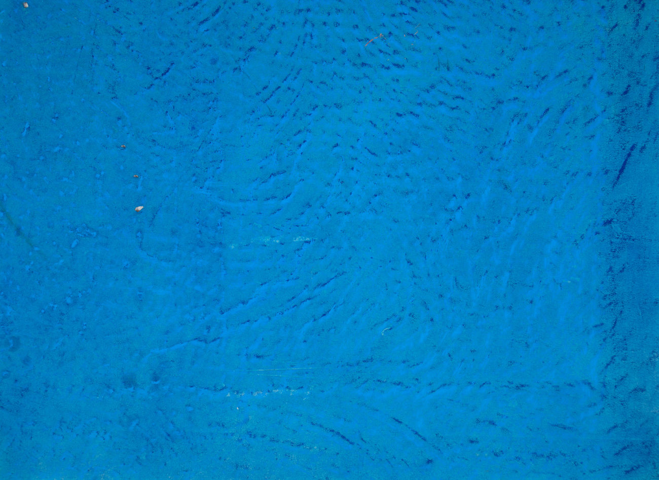 Jessica Dickinson, trace (From/With), 2019-2022