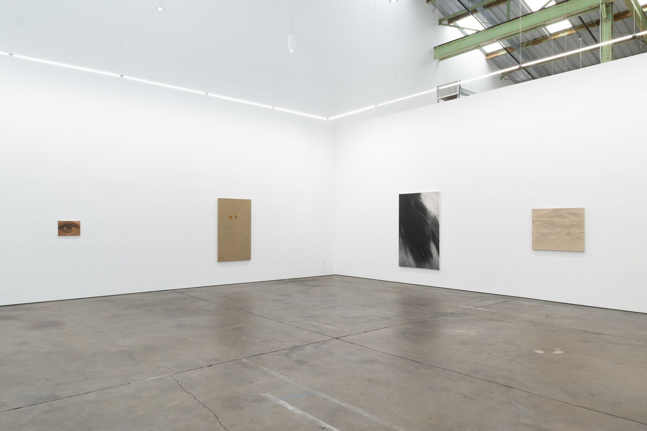 Rodolfo Abularach, Artio, 1984