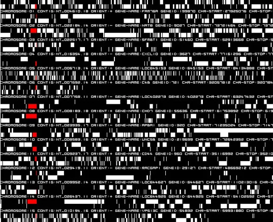 Ryoji Ikeda, Datamatics (ver. 2.0), 2006