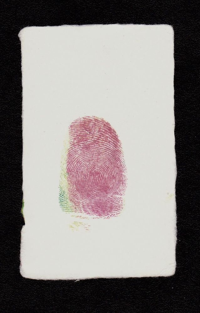 David Hammons, Untitled, 2008