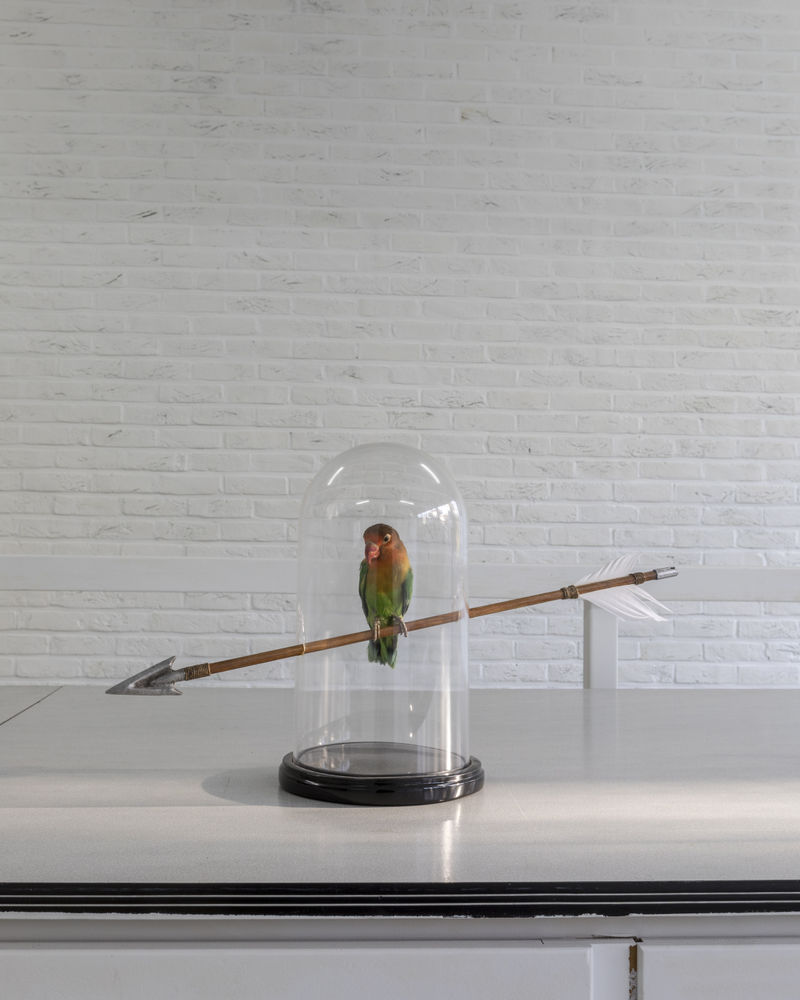 Washington186: Inaugural exhibition work by Nancy Fouts at at Aeroplastics @ WASHINGTON186, 2017. Ph: Roger Wagner