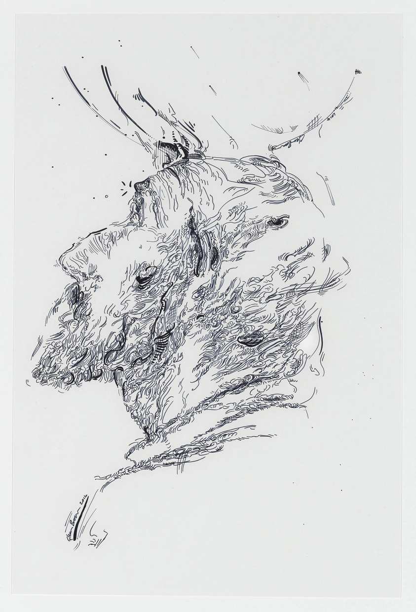 Drawing 17 (after Murillo)