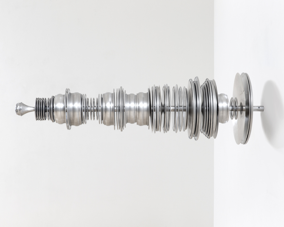 Terry Adkins, Aviarium (Broad Winged Hawk), 2014