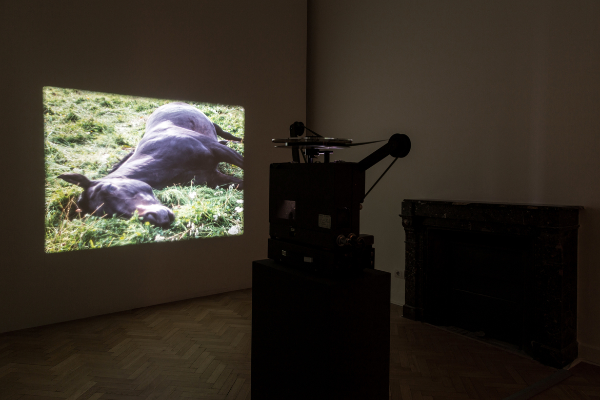 Installation view, Thomas Dane Gallery