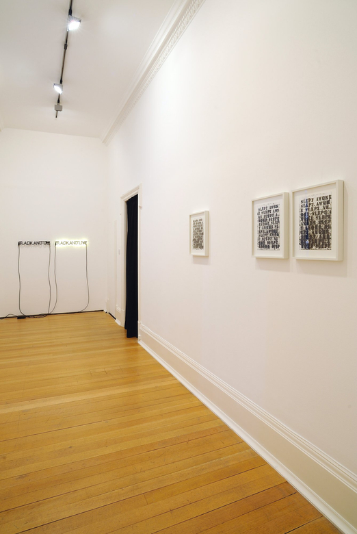 Installation view, Thomas Dane Gallery