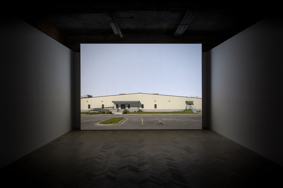 Installation view, Thomas Dane Gallery, London