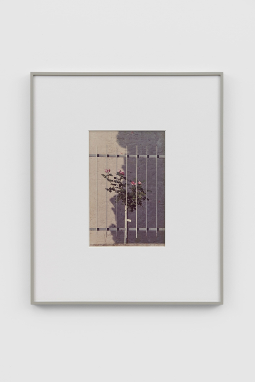 Luigi Ghirri: Colazione sull'Erba