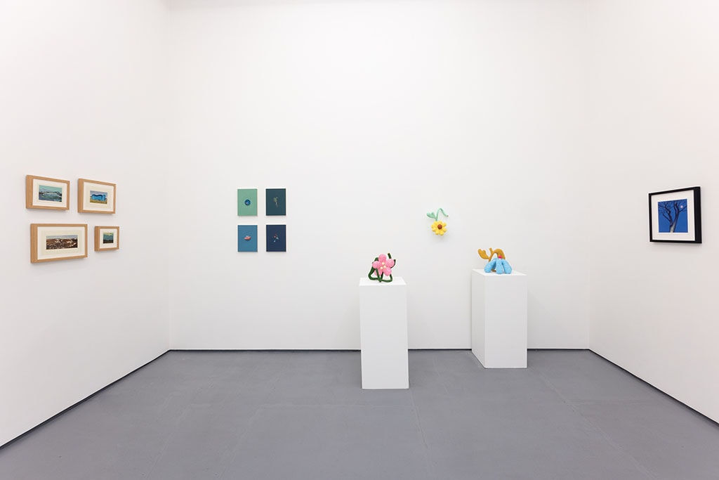 white gallery walls with small artworks and scu