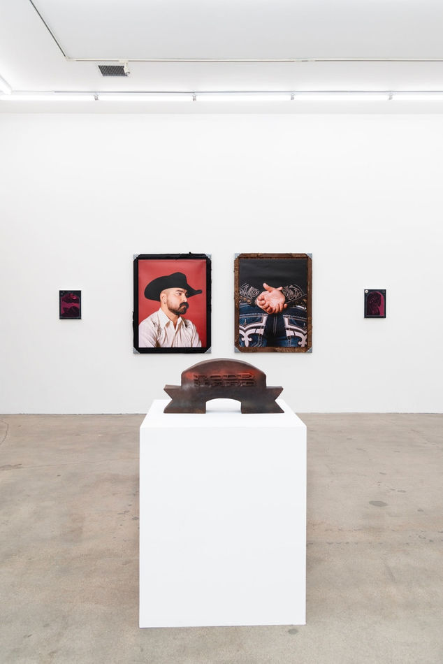 Installation image at Hashimoto Contemporary Los Angeles