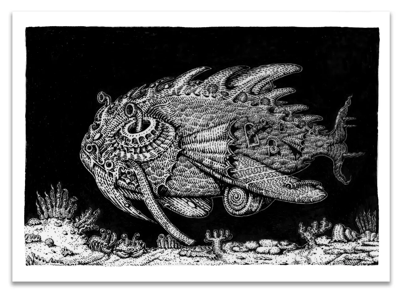 David Welker, Lens Fish, 2019