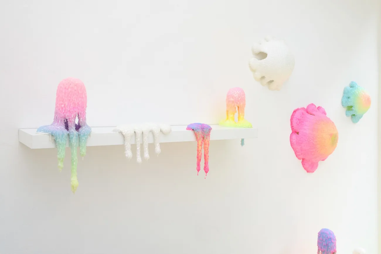 Dan Lam installation image