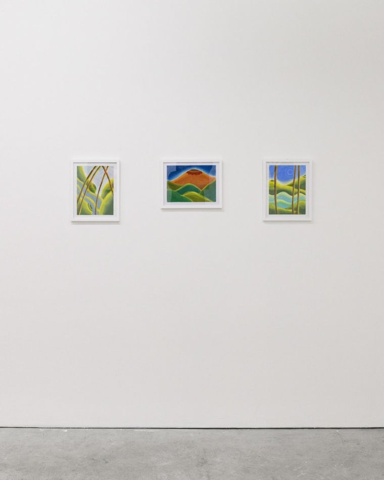 Installation view of The Jaunt: Winter Camp group exhibition at Hashimoto Contemporary San Francisco. From left to right: 