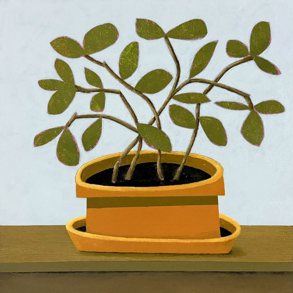 leafy green plant in borwn pot and blue background