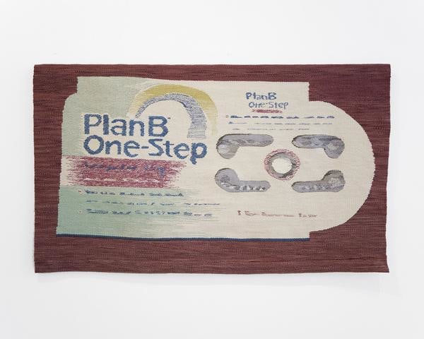 Erin M. Riley, Plan B, 2013