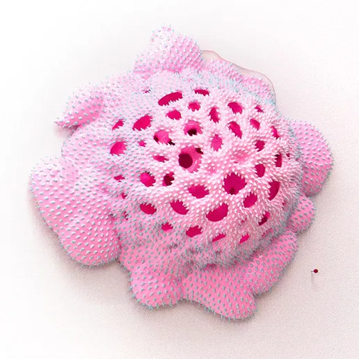 Dan Lam, Keep It Locked, 2019