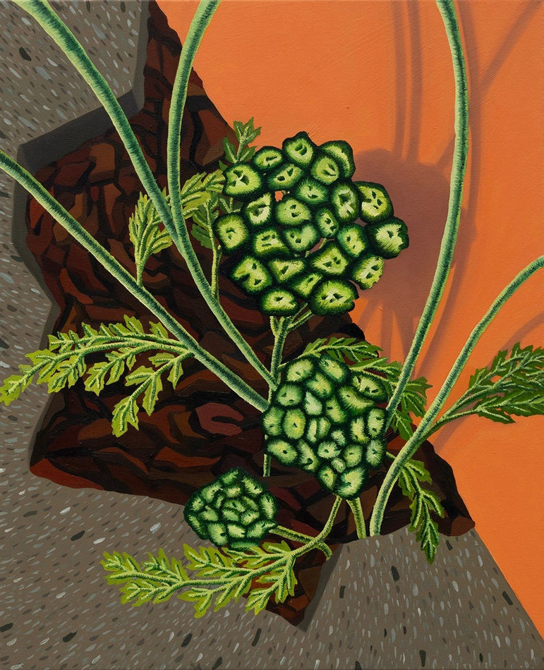 green plant coming out of the pavement next to an orange wall