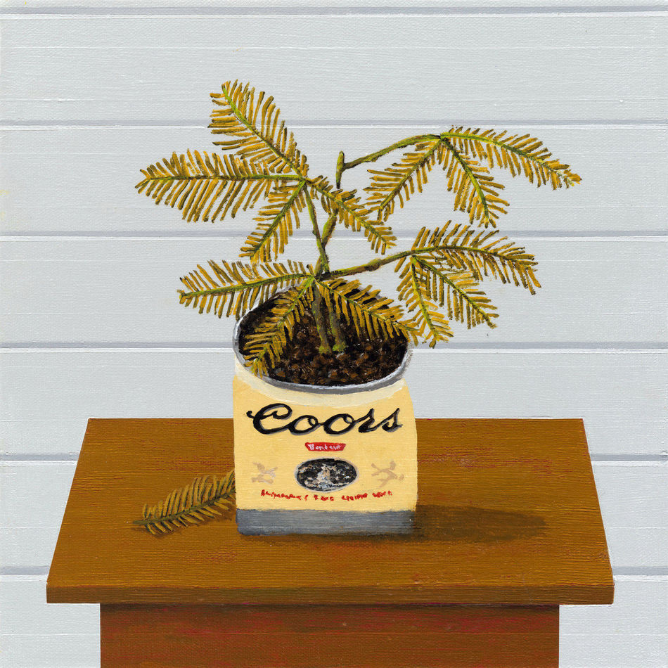 painting of plant inside of coors beer can on a brown desk