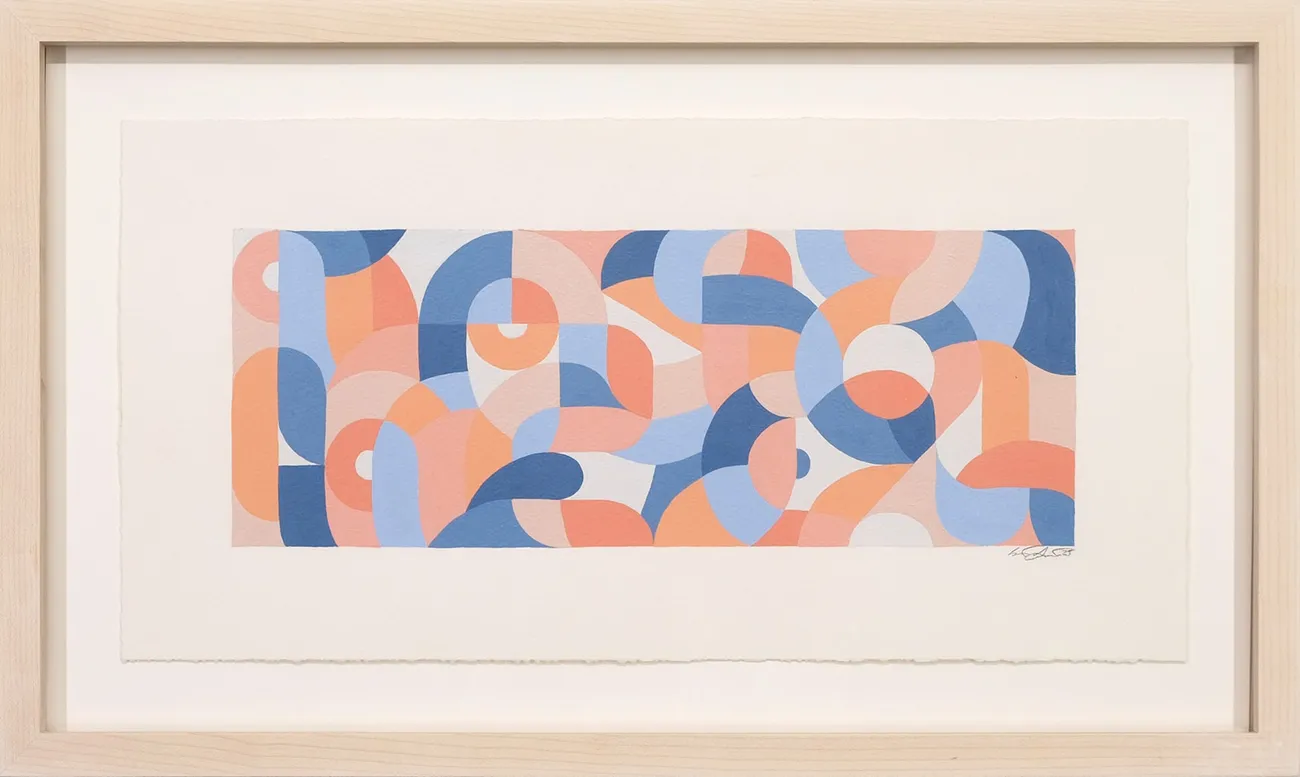 Framed work on paper depicting various multicolored curves and shapes by artist Scott Albrecht