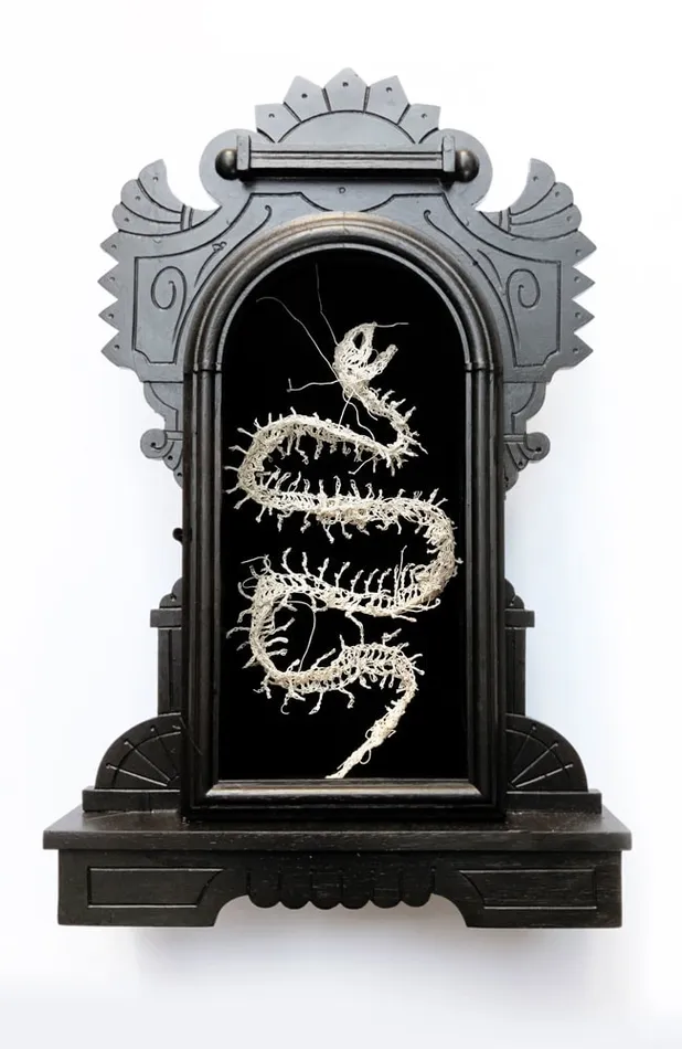 Caitlin McCormack, Anything That Moves, 2019