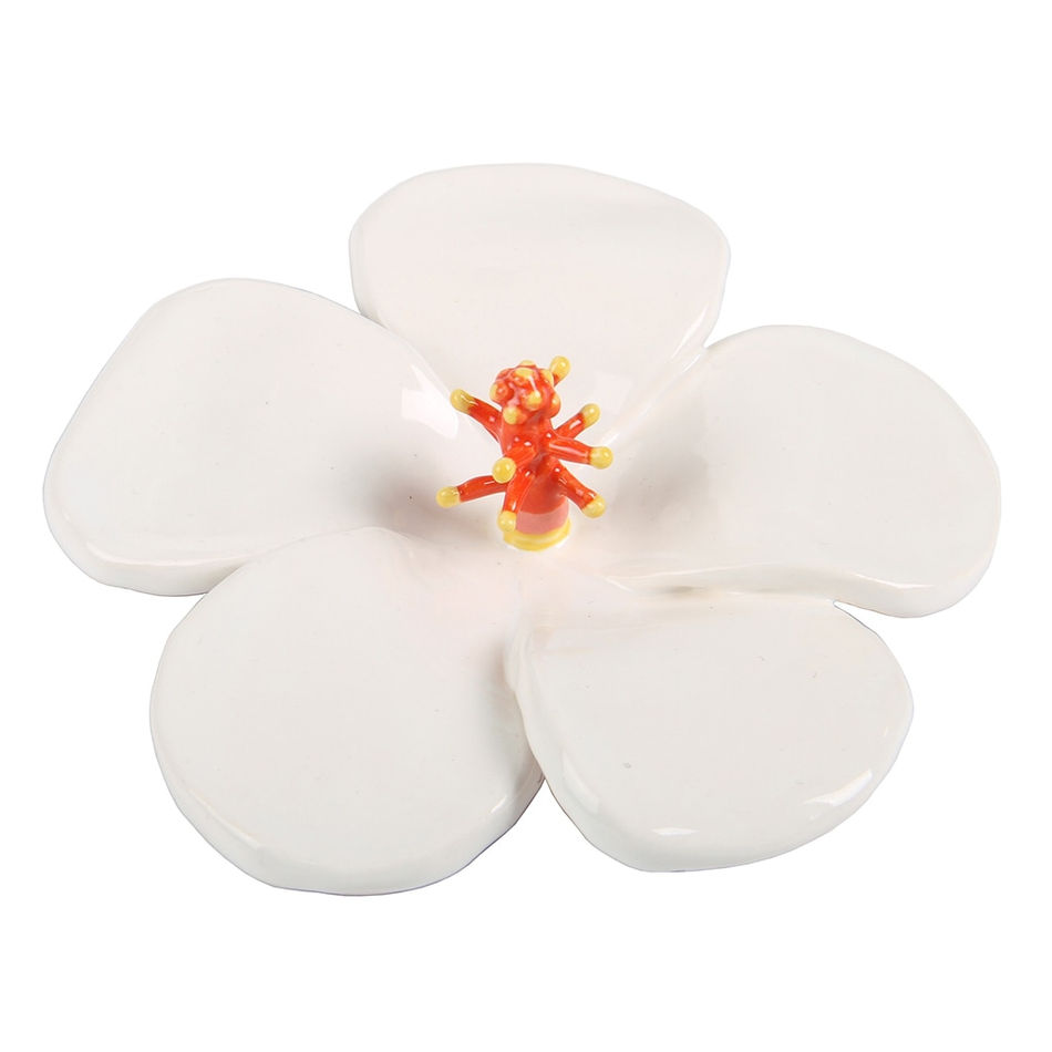 Lorien Stern, Hibiscus Waimeae, 2020