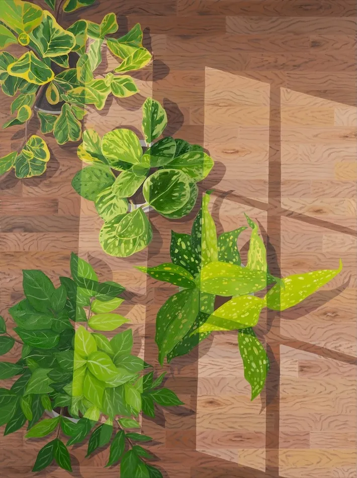 Natalia Juncadella painting of green plants on wooden floor with window shadows cast over them