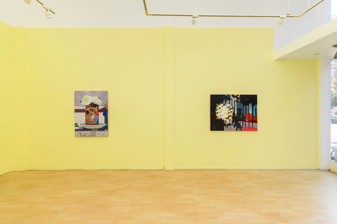 installation photo of Francisco Diaz Scotto's artwork