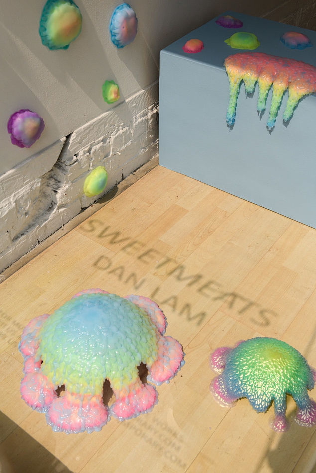 Dan Lam, Savor, 2020