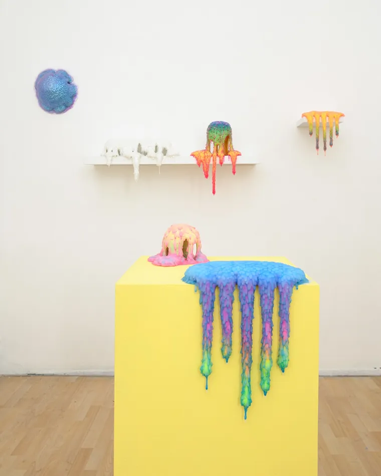 Dan Lam, Nectar, 2020