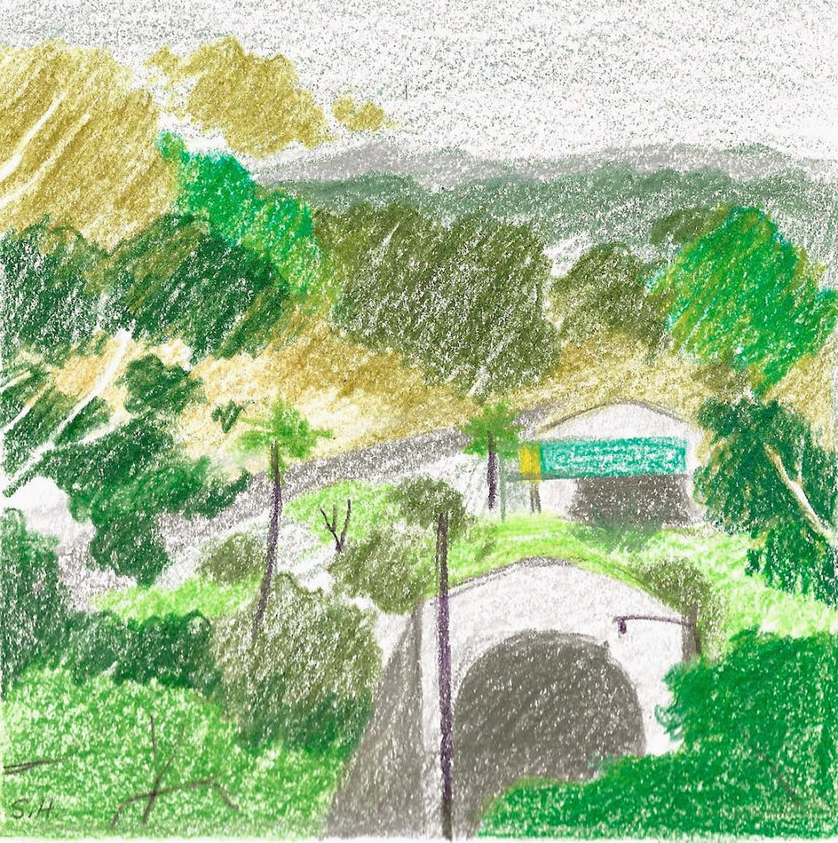 sketch of green trees and grey buildings