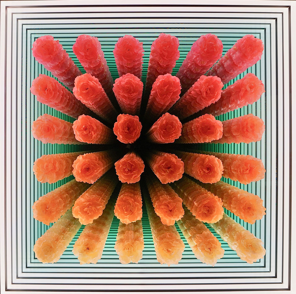 Peter Gronquist, 36 Peonies, 2019