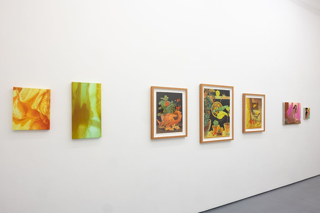 white gallery wall with paintings of various sizes in yellow and green tones