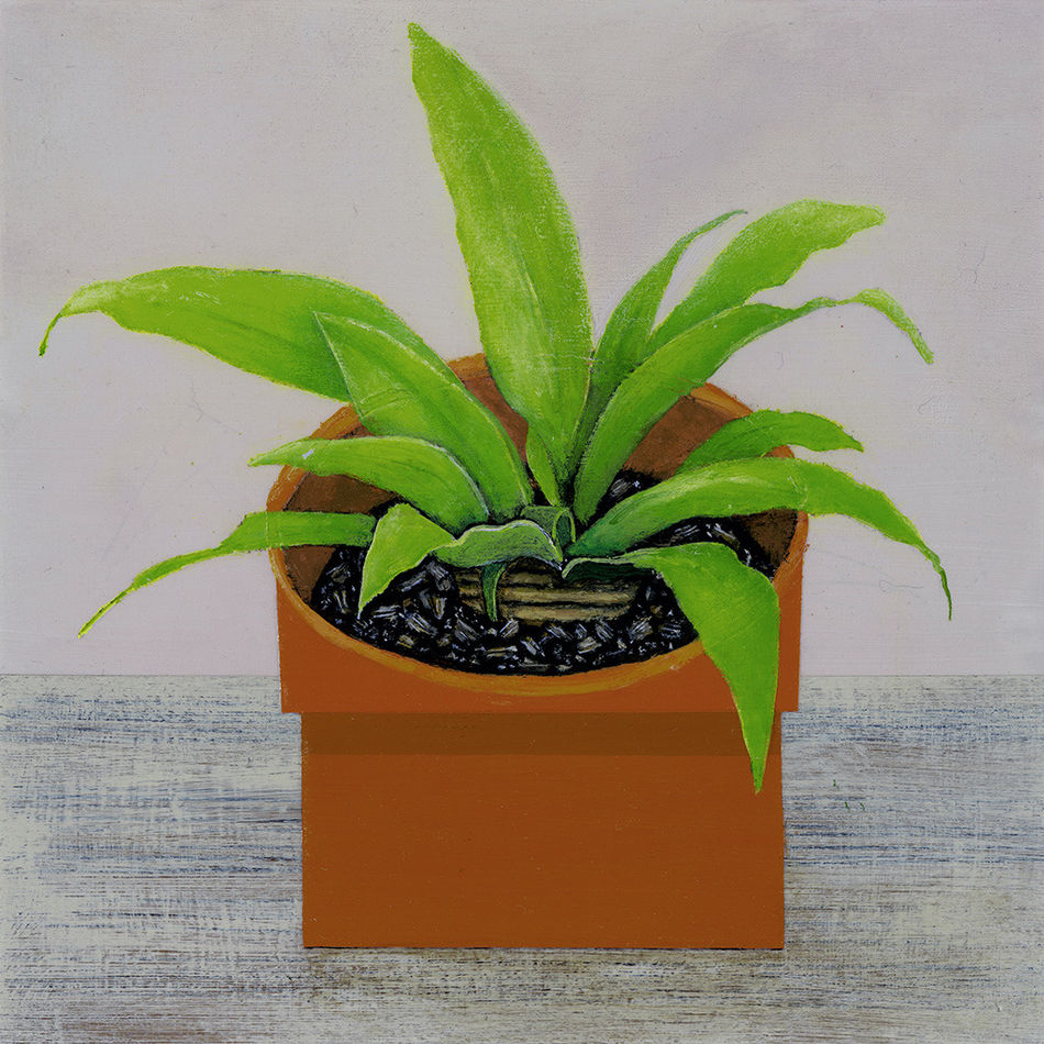 Gabe Langholtz painting of plant in pot