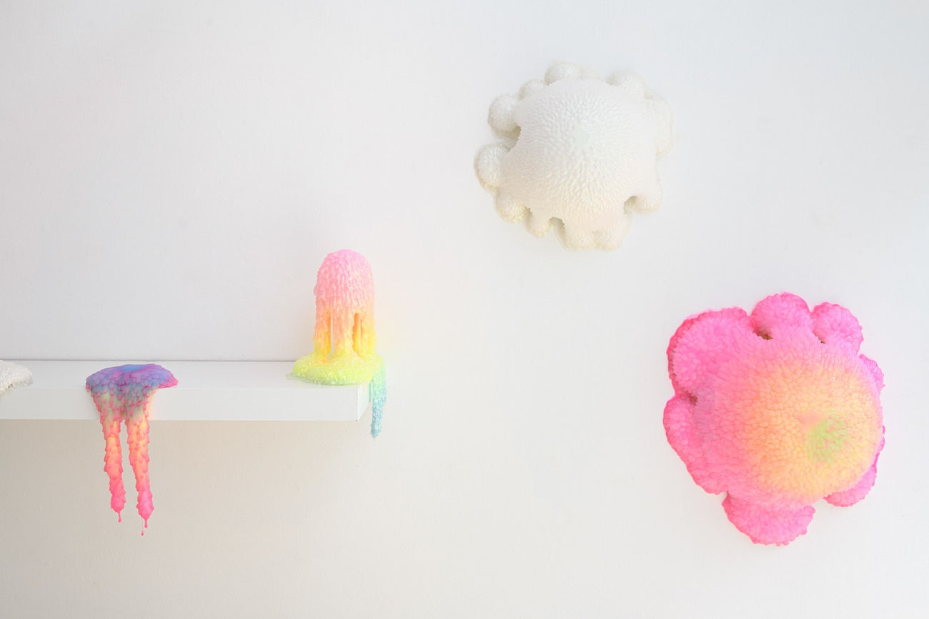 Dan Lam installation image