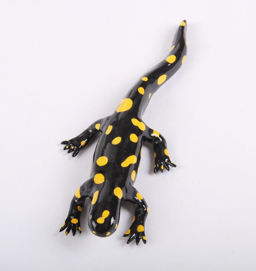 Lorien Stern, Kurdistan Newt, 2020