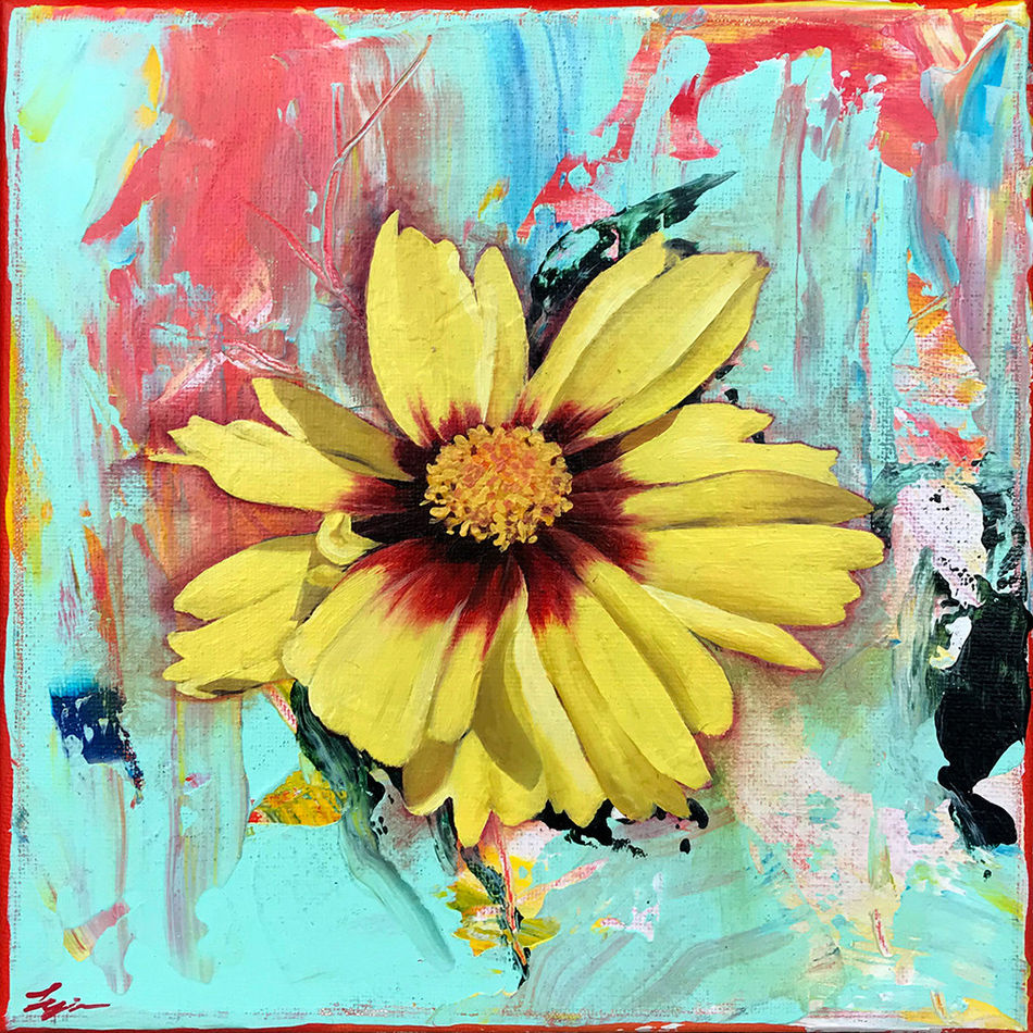 Louise Jones painting of Daybreak Coreopsis