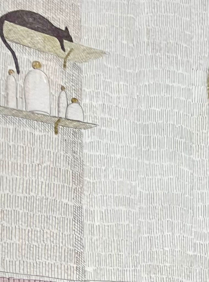 shelves with an animal laying on the top one and shampoo bottles on the lower one