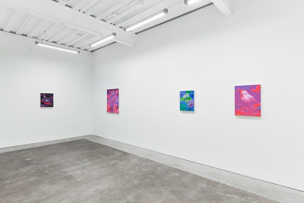 installation view of Megan Ellen MacDonald's exhibition 